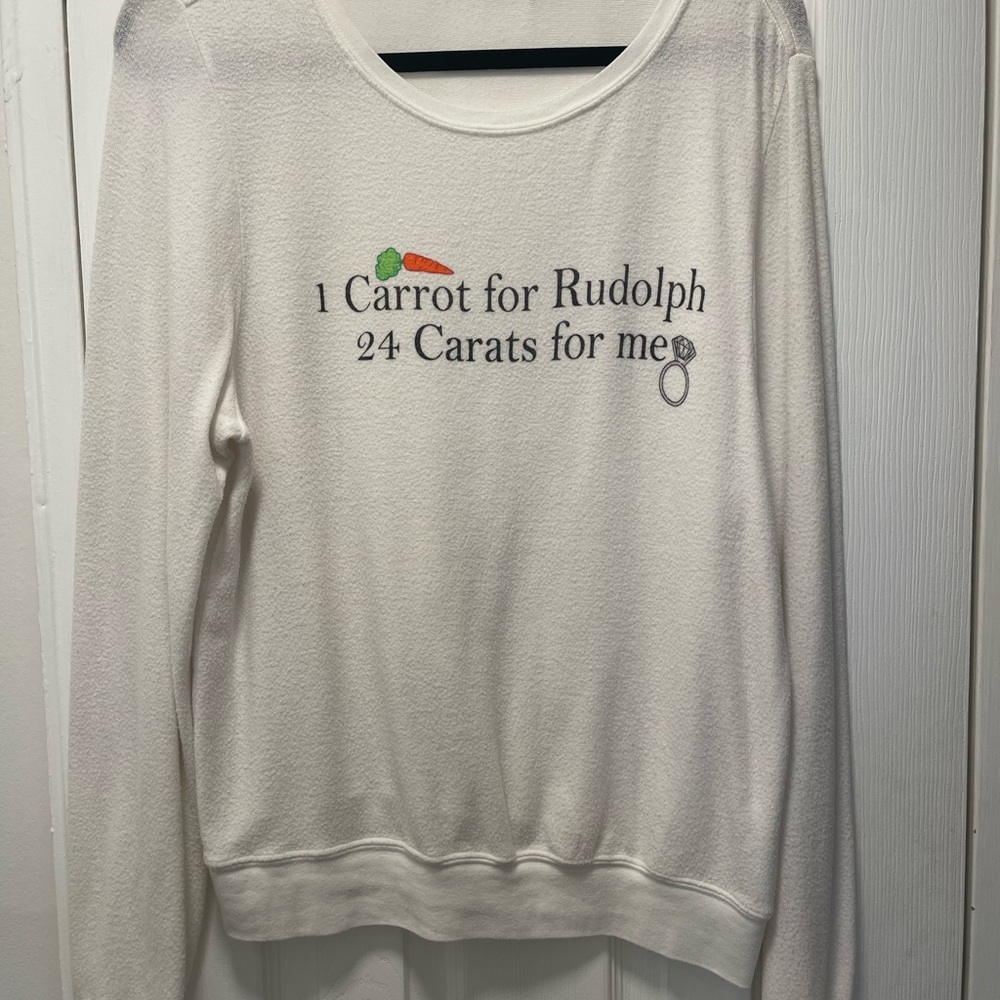 Lightly Used Wildfox Sweater
